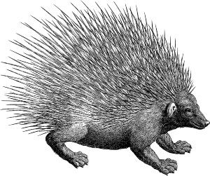 histriko