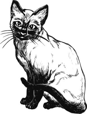 kasto