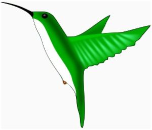 kolibro