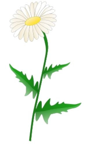 lekanto